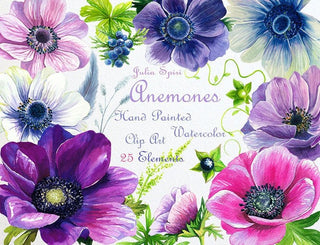 Watercolor Flowers Clipart, Anemone, Wedding Invitation, Juniper berries, Floral Set, Leaf, Sprig, Purple Greeting card, Diy. Anemones - The Art of Julia Spiri