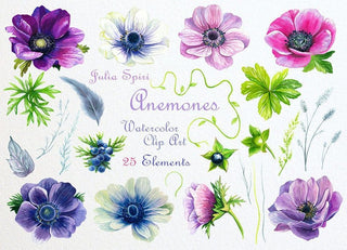 Watercolor Flowers Clipart, Anemone, Wedding Invitation, Juniper berries, Floral Set, Leaf, Sprig, Purple Greeting card, Diy. Anemones - The Art of Julia Spiri