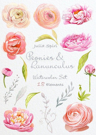 Watercolor Flowers Clipart, Peonies, Ranunculus, Wedding Invitation, Hand Painted, Greeting card, Peony Diy Romantic. Peonies and Ranunculus - The Art of Julia Spiri