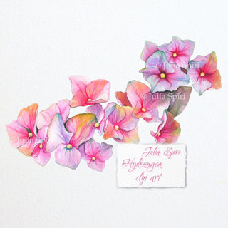 Watercolor Hydrangea Flowers Clipart, Handpainted Elements, Wedding invitations, floral frame clipart, Greeting card, diy. Hydrangea - The Art of Julia Spiri