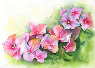 Watercolor Painting. Hydrangea Flowers - The Art of Julia Spiri