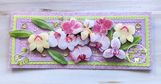 Clip Art de Flores Pintadas a Mano en Acuarela. orquídeas