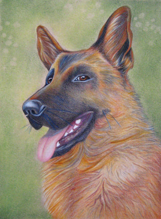 Grayscale Coloring Page, Dog, German shepherd. Bim