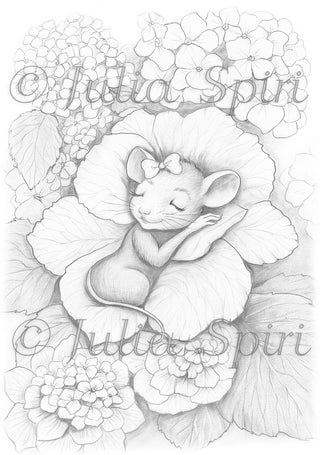 Grayscale Coloring Page, Fantasy Garden. A Hydrangea Bed for the Sleeping Sweet Mouse