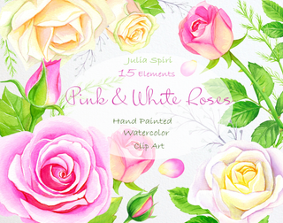 Clip Art de flores de acuarela pintadas a mano. Rosas rosadas y blancas