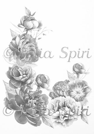Grayscale Coloring Page, Flowers. Peonies - The Art of Julia Spiri