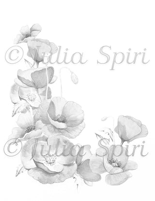 Página para colorear en escala de grises, ramo de flores. Amapolas