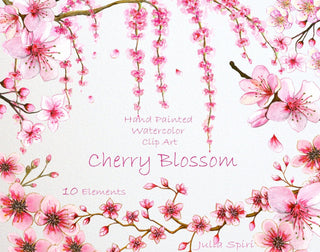 Watercolor Flowers Clipart, Cherry Blossom Hand Painted, Watercolor Flowers, Spring, Sakura, Invitation, Diy, Scrapbooking. Sherry Blossom - The Art of Julia Spiri