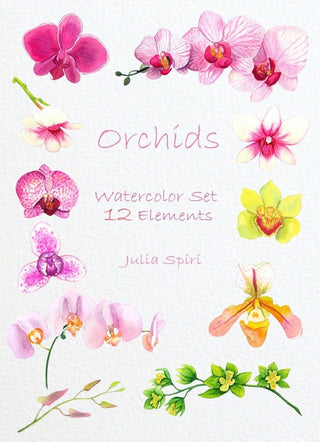 Watercolor Flowers Clipart, Orchids Hand Painted, Floral Clip Art, Watercolor Flowers, Invitation, Diy, Wedding flowers, Spring. Orchids - The Art of Julia Spiri