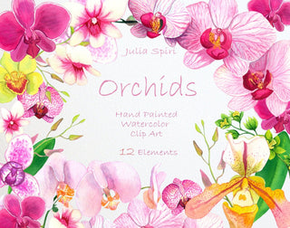 Watercolor Flowers Clipart, Orchids Hand Painted, Floral Clip Art, Watercolor Flowers, Invitation, Diy, Wedding flowers, Spring. Orchids - The Art of Julia Spiri
