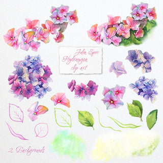 Watercolor Hydrangea Flowers Clipart, Handpainted Elements, Wedding invitations, floral frame clipart, Greeting card, diy. Hydrangea - The Art of Julia Spiri