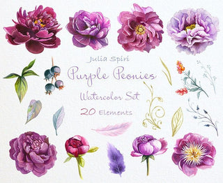 Watercolor Peonies Flowers Clipart, Purple, Violet, Bordeauxs, Wedding Invitation, Floral set Lilac Greeting card Peony Diy. Purple Peonies - The Art of Julia Spiri