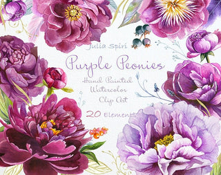 Watercolor Peonies Flowers Clipart, Purple, Violet, Bordeauxs, Wedding Invitation, Floral set Lilac Greeting card Peony Diy. Purple Peonies - The Art of Julia Spiri